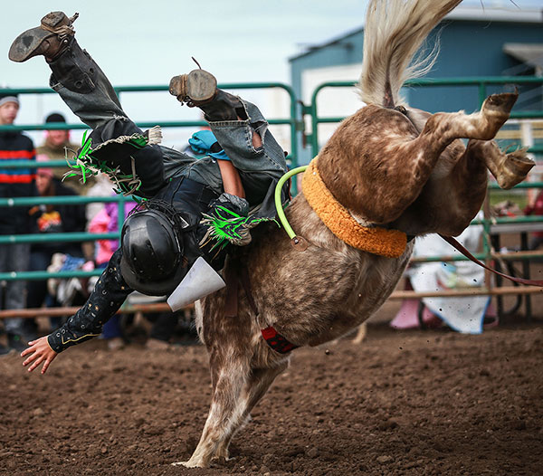 RankMiniPony Schedule