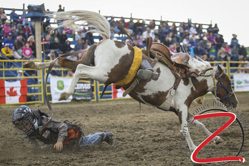 Here's The Scoop Instagram