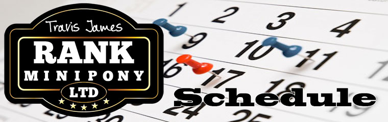 RankMiniPony Schedule